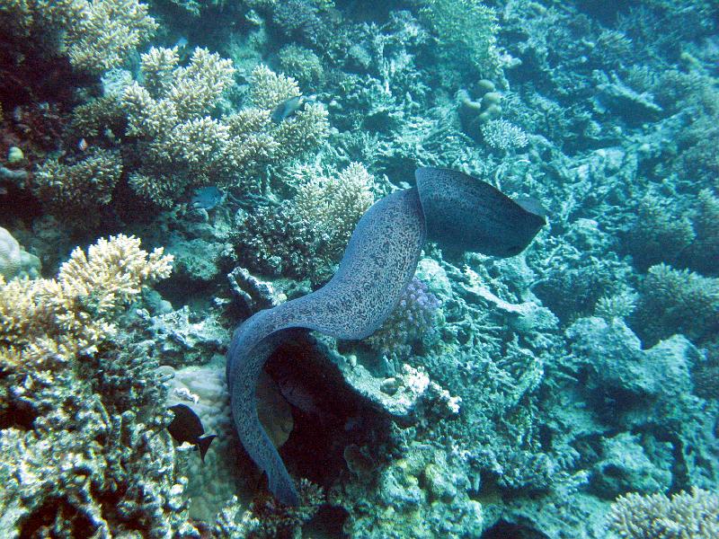 2009-12-02 15-12-52S.jpg